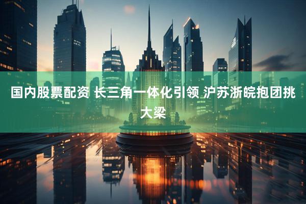 国内股票配资 长三角一体化引领 沪苏浙皖抱团挑大梁