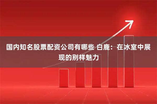 国内知名股票配资公司有哪些 白鹿：在冰室中展现的别样魅力